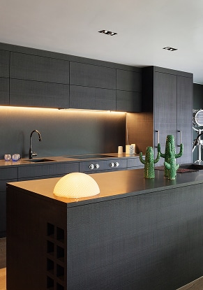 Cuisine Moderne Sombre Élégante et Éclairage Ambiant Cuisine moderne sombre avec îlot central, éclairage d'ambiance sous les meubles hauts, et deux cactus décoratifs verts.